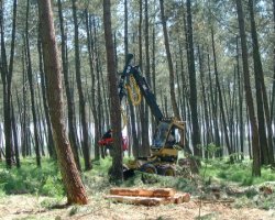 Un engin équipé d'une tête pour la découpe.