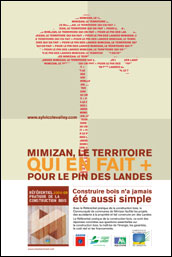 Mimizan, le territoire qui en fait plus pour le pin des Landes