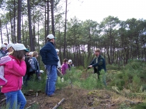 La biodiversité dans la forêt littorale des Landes